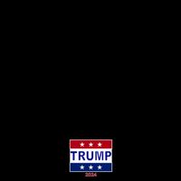 I Am Voting For A Convicted Felon Trump 2024 Mug