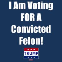 I Am Voting For A Convicted Felon Trump 2024 Performance Shirt