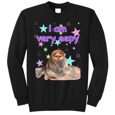 I Am Very Eepy Funny Cat Blanket Tall Sweatshirt