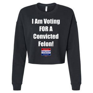 I Am Voting For A Convicted Felon Trump 2024 Funny Trump Cropped Pullover Crew