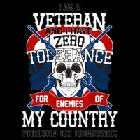 IM A Veteran With Zero Tolerance Wool Snapback Cap