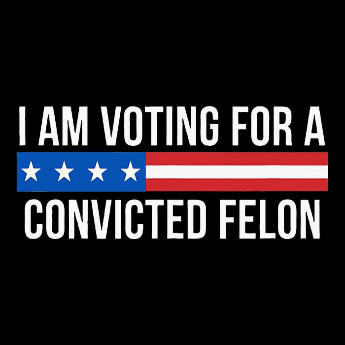 I Am Voting For A Convicted Felon T-Shirt