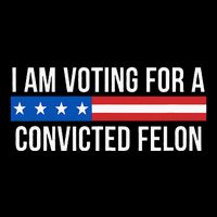 I Am Voting For A Convicted Felon 16 in Basic Backpack