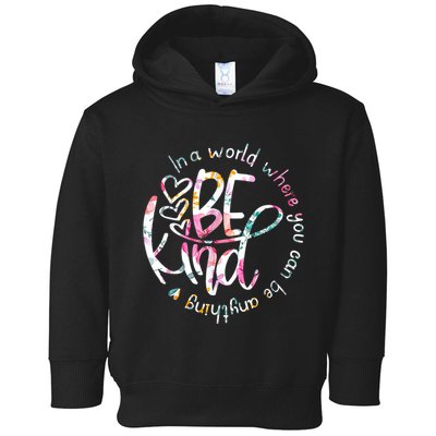 In A World Where You Can Be Anything Be Kind Kindness Toddler Hoodie