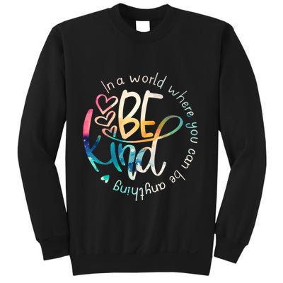 In A World Where You Can Be Anything Be Kind Kindness Sweatshirt