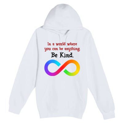 In A World Where You Can Be Everything Be Kind Premium Pullover Hoodie