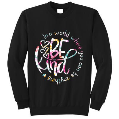 In A World Where You Can Be Anything Be Kind Kindness Sweatshirt