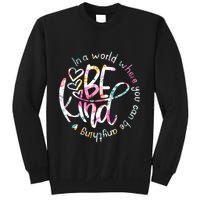In A World Where You Can Be Anything Be Kind Kindness Sweatshirt