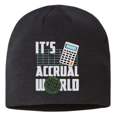 Its Accrual World Funny Accounting Accountant CPA Sustainable Beanie