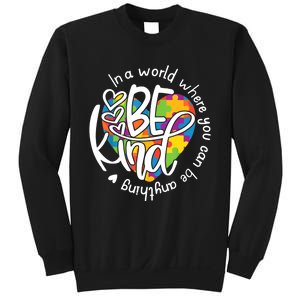 In A World Where You Can Be Anything Be Kind Kindness TShirt Sweatshirt