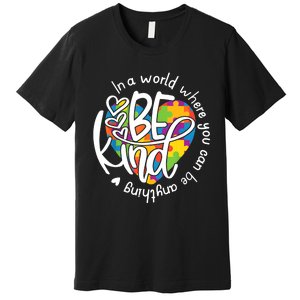 In A World Where You Can Be Anything Be Kind Kindness TShirt Premium T-Shirt