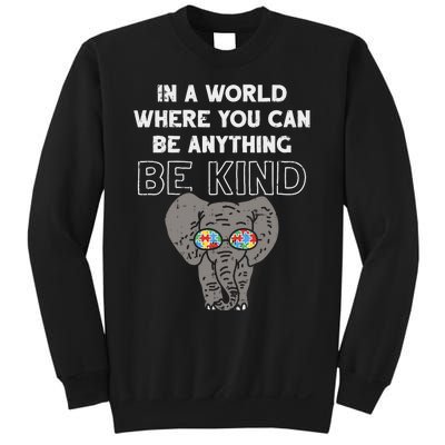 In A World Anything Be Kind Cute Autism Elephant Gift Sweatshirt