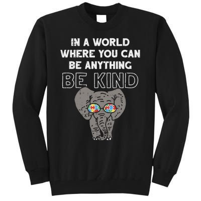 In A World Anything Be Kind Cute Autism Elephant Gift Tall Sweatshirt