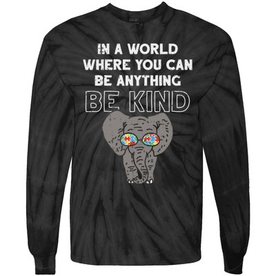 In A World Anything Be Kind Cute Autism Elephant Gift Tie-Dye Long Sleeve Shirt