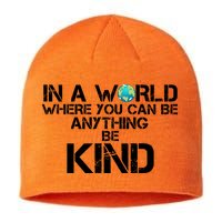 In A World Where You Can Be Anything Be Kind Sustainable Beanie