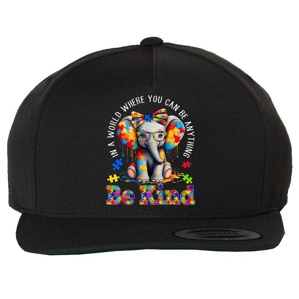 In A World Where You Can Be Anything Be Kind Autism Elephant Wool Snapback Cap