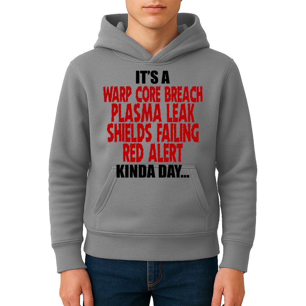 It's A Warp Core Plasma Leak Shield Funny Meme Kids Hoodie