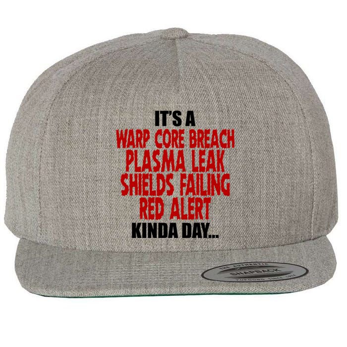 It's A Warp Core Plasma Leak Shield Funny Meme Wool Snapback Cap