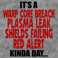 It's A Warp Core Plasma Leak Shield Funny Meme Wool Snapback Cap