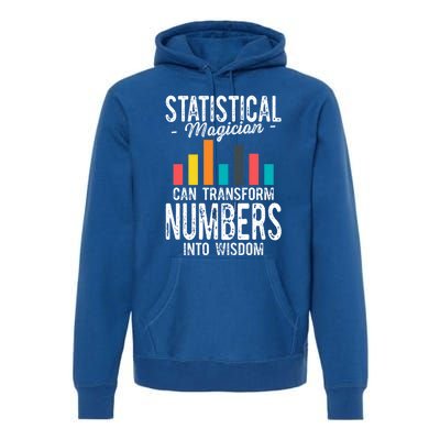 In A World Full Of Data Math Science Statistics Teacher Gift Premium Hoodie