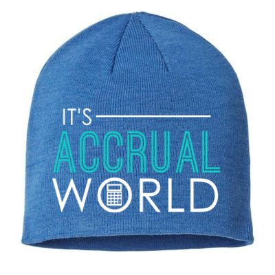 It's Accrual World Funny Accounting And Accountant Cpa Gift Sustainable Beanie