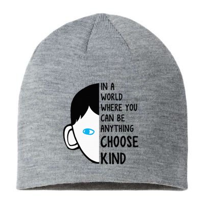 In A World Where You Can Be Anything Choose Kind Sustainable Beanie