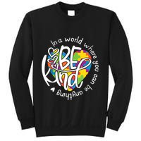 In A World Where You Can Be Anything Be Kind Kindness Sweatshirt