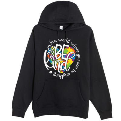 In A World Where You Can Be Anything Be Kind Kindness Premium Pullover Hoodie