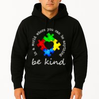 In A World Where You Can Be Anything Be Kind Autism Puzzle Hoodie