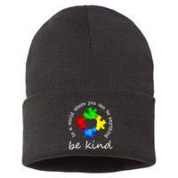 In A World Where You Can Be Anything Be Kind Autism Puzzle Sustainable Knit Beanie