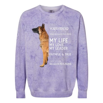 I Am Your Friend Your Partner Your Belgian Malinois Mom Dad Colorblast Crewneck Sweatshirt