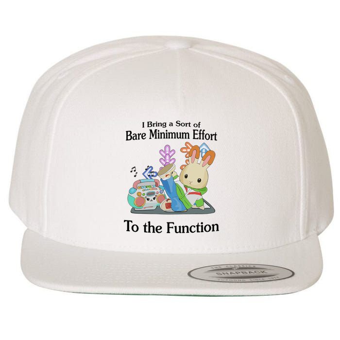 I Bring A Sort Of Bare Minimum Effort To The Function Wool Snapback Cap