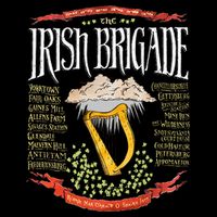 Irish Brigade Civil War 16 in Basic Backpack