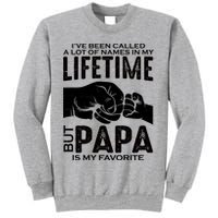 Ive Been Called A Lot Of Names In My Lifetime But Papa Is My Favorite Fathers Day Sweatshirt