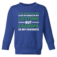 I've Be Called A Lot Of Names In My Lifetime But Grandpa Funny Gift Toddler Sweatshirt