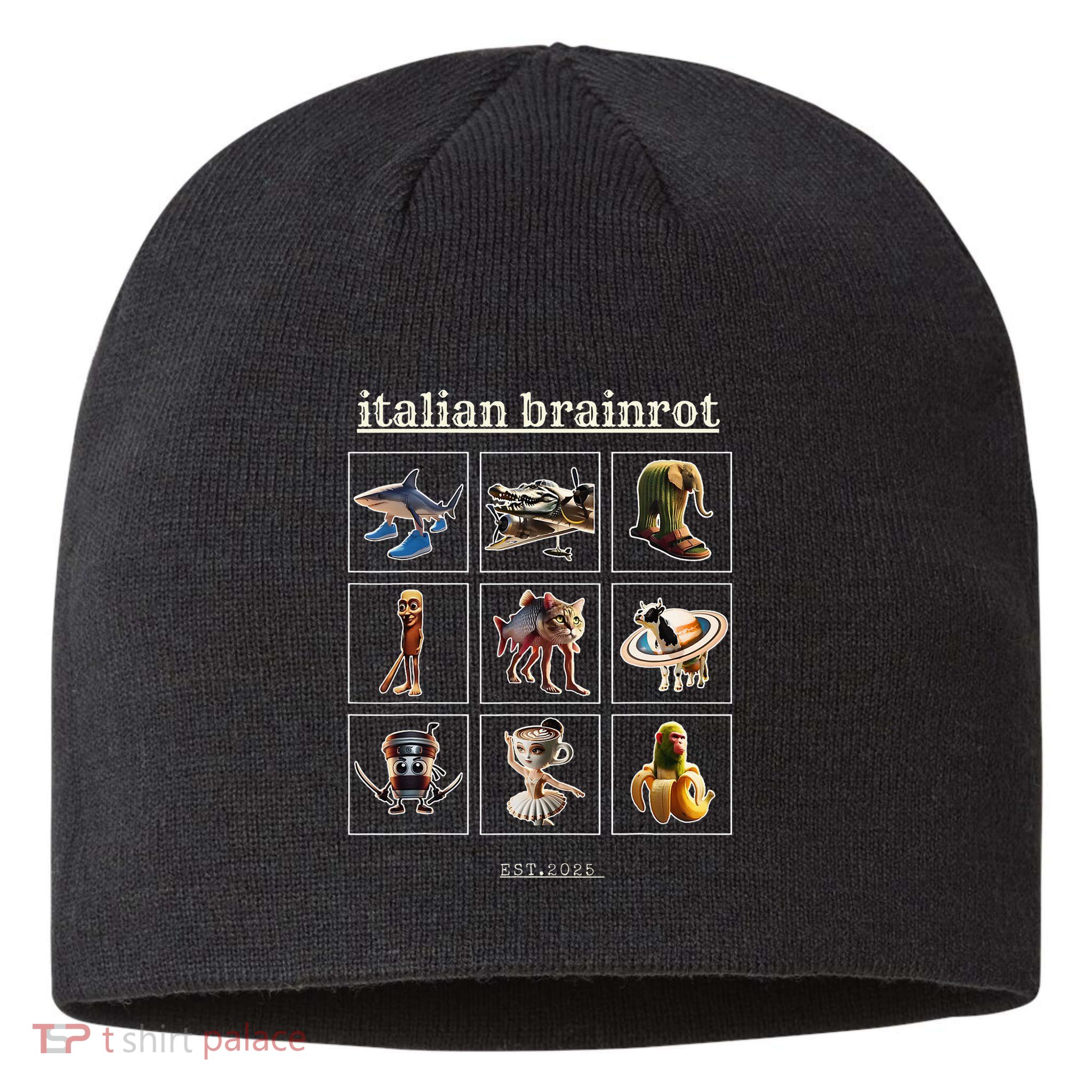 Italian Brainrot Characaters Meme Gen Z Funny Humor Sustainable Beanie