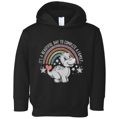 ItS Beautiful Day To Complete A Family Adoption Day Toddler Hoodie