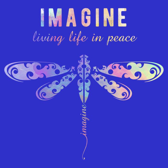 Imagine Boho Dragonfly Tee 60s 70s Retro Groovy Hippy Vibes Funny Gift T-Shirt