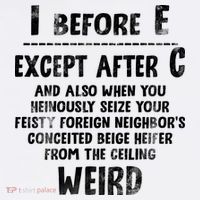 I Before E Except After C Weird Funny Gift For Hobby Writers Authors Women's V-Neck T-Shirt