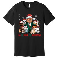 ILl Be Home For Christmas Meme Santa Claus Trump 2024 Premium T-Shirt