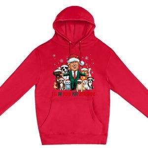 ILl Be Home For Christmas Meme Santa Claus Trump 2024 Premium Pullover Hoodie