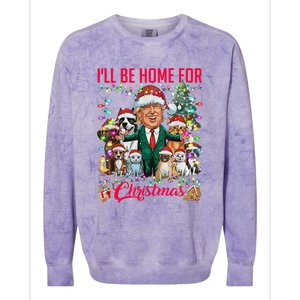 ILl Be Home For Christmas Funny Trump Pets Dog Cat Xmas Colorblast Crewneck Sweatshirt