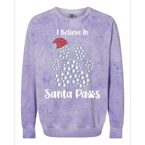 I Believe In Santa Paws Dog Lover Christmas Gift Colorblast Crewneck Sweatshirt