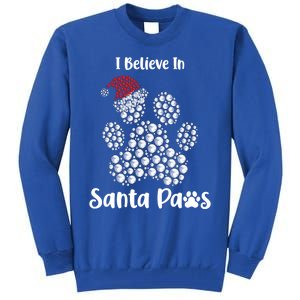 I Believe In Santa Paws Dog Lover Christmas Gift Tall Sweatshirt