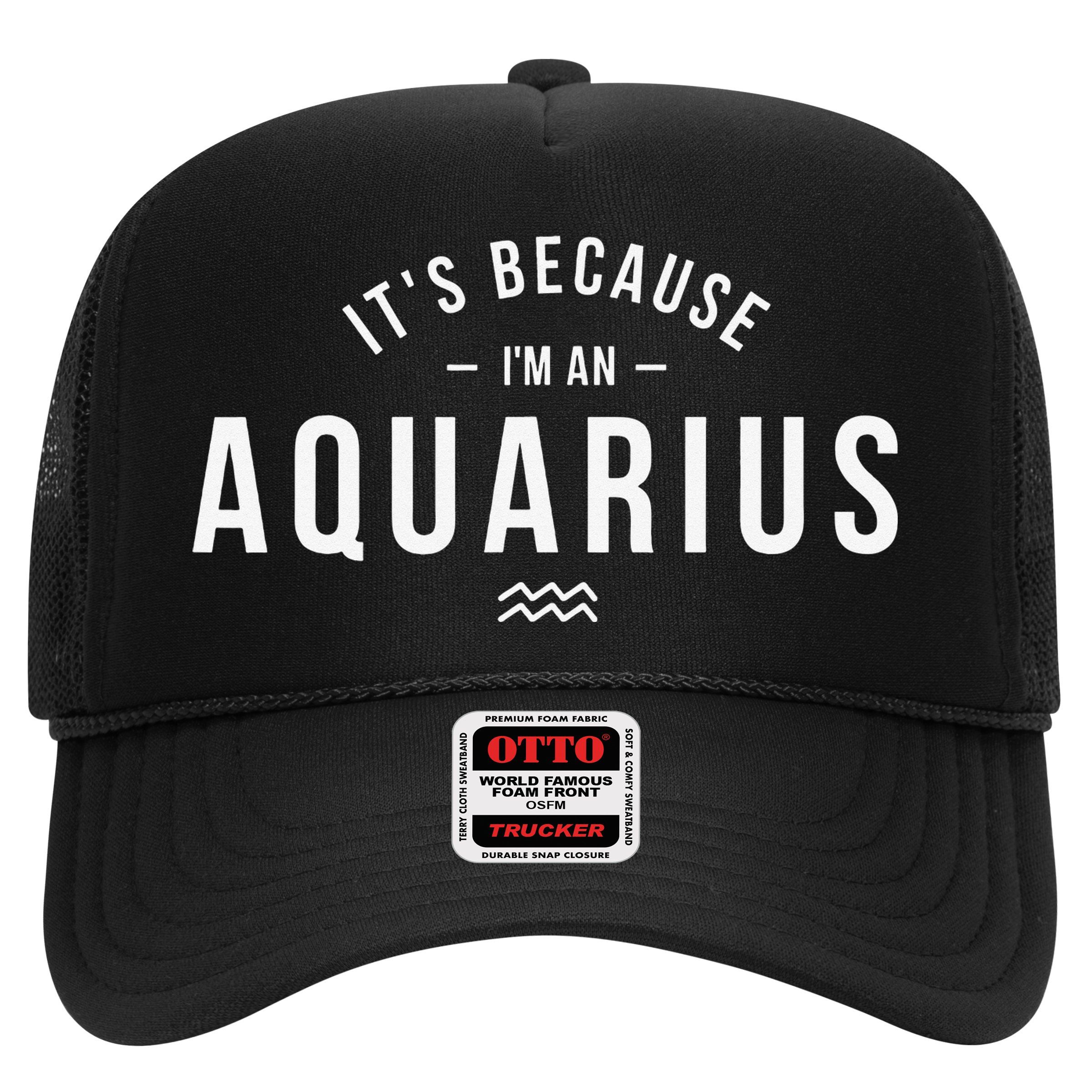 It's Because I'm An Aquarius Zodiac Sign Astrology Hat
