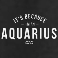 It's Because I'm An Aquarius Zodiac Sign Astrology Hat