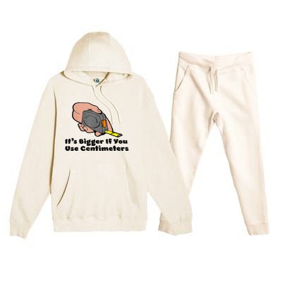 It's Bigger If You Use Centimeters Gift Tee Premium Hooded Sweatsuit Set