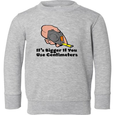 It's Bigger If You Use Centimeters Gift Tee Toddler Sweatshirt