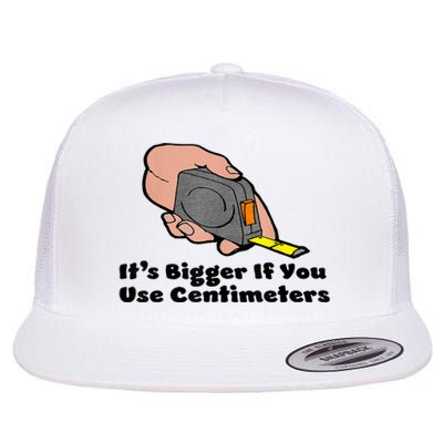 It's Bigger If You Use Centimeters Gift Tee Flat Bill Trucker Hat