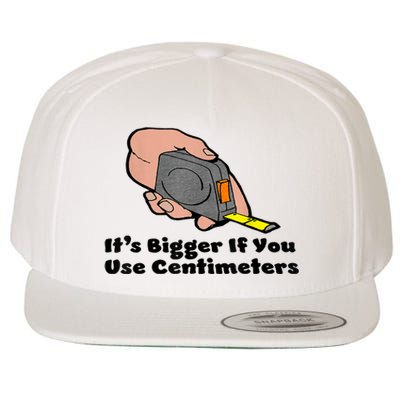 It's Bigger If You Use Centimeters Gift Tee Wool Snapback Cap